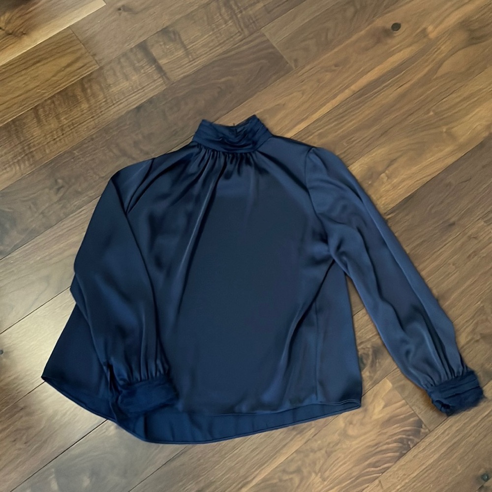 Zara Blue Silk Too